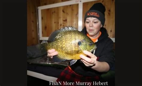FishN More (Murray Hebert) Age, Real Name, Bio, Gender, Net Worth.
